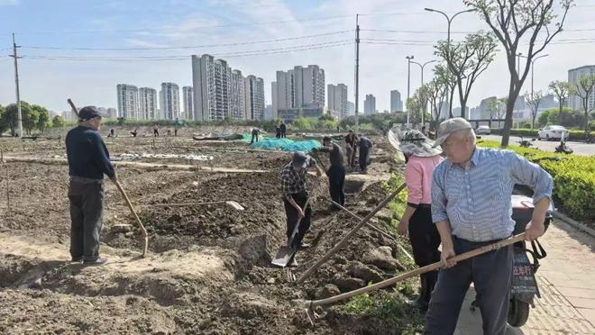 为“城市生命体”把脉开方！金海街道“三级常驻联诊”工作法精准诊疗“城市亚健康”(图1)