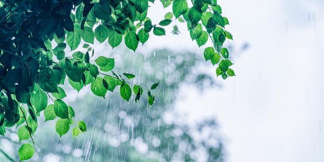 2025年入梅、出梅时间表来了哪天入梅？今夏雨水很多吗？(图2)