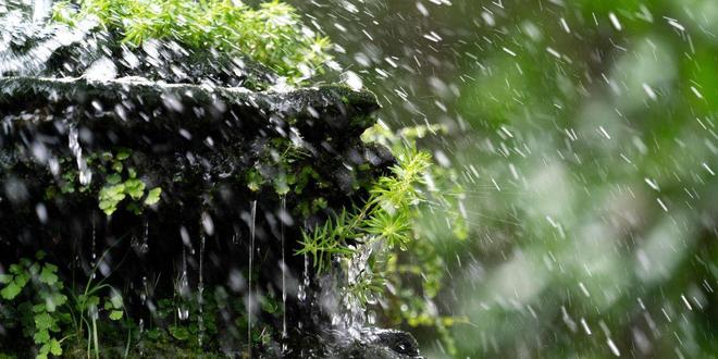 2025年入梅、出梅时间表来了哪天入梅？今夏雨水很多吗？(图5)