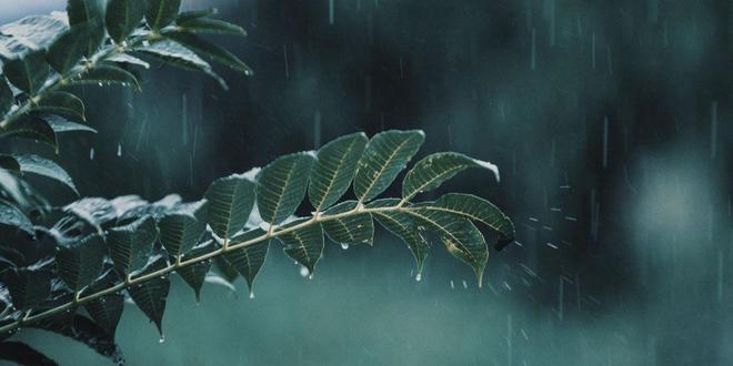 2025年入梅、出梅时间表来了哪天入梅？今夏雨水很多吗？(图6)