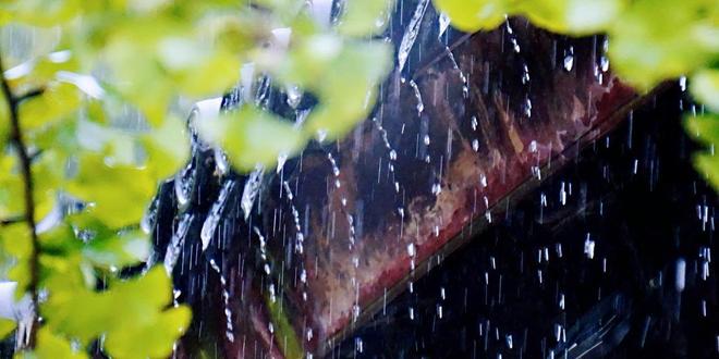 2025年入梅、出梅时间表来了哪天入梅？今夏雨水很多吗？(图8)