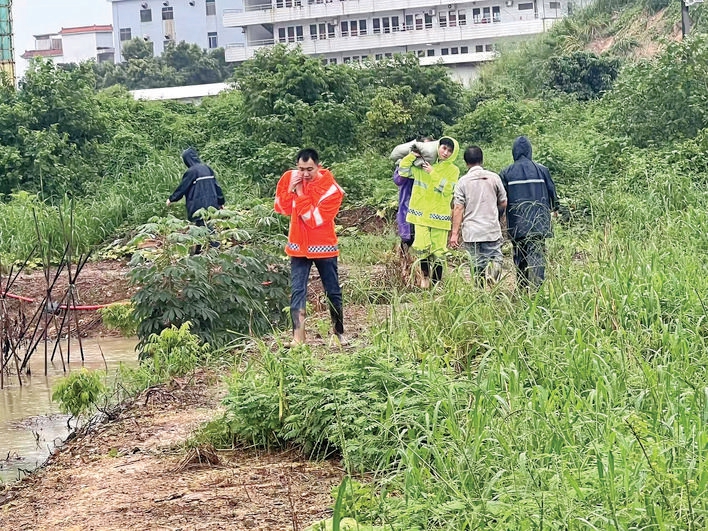 风雨同舟惠州上下共筑防汛安全线(图7)