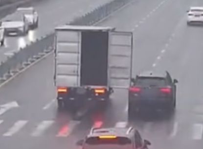 一棵、两棵、三四棵(图2)