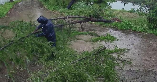 光山县弦山街道：风雨同舟排险情凝心聚力保