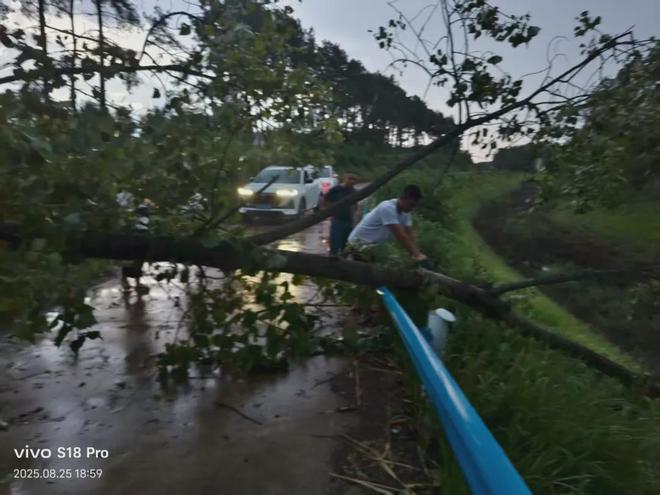 光山县弦山街道：风雨同舟排险情凝心聚力保畅通(图2)
