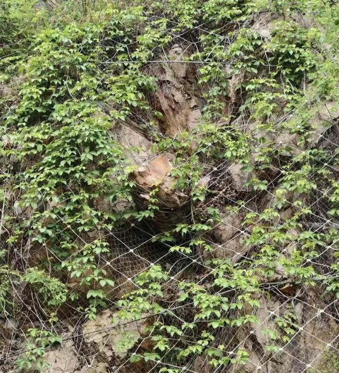 洛阳落石砸车致司机死亡案即将一审开庭栾川县多部门成被告家属索赔百余万元(图3)