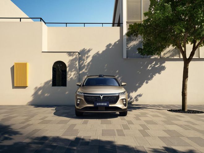 满血华为的意义对于岚图知音来说究竟有多大？(图2)