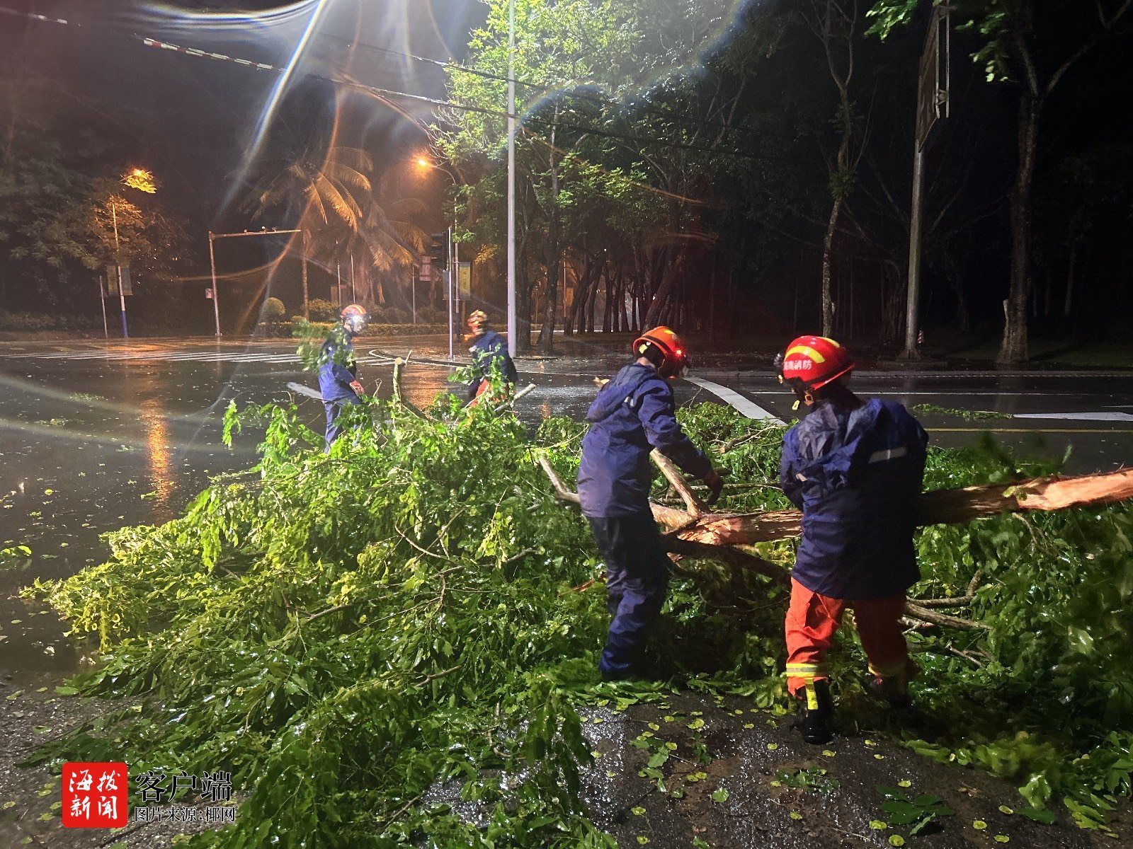 台风“蝴蝶”致多处树木倒伏五指山消防紧急清障保通畅(图5)