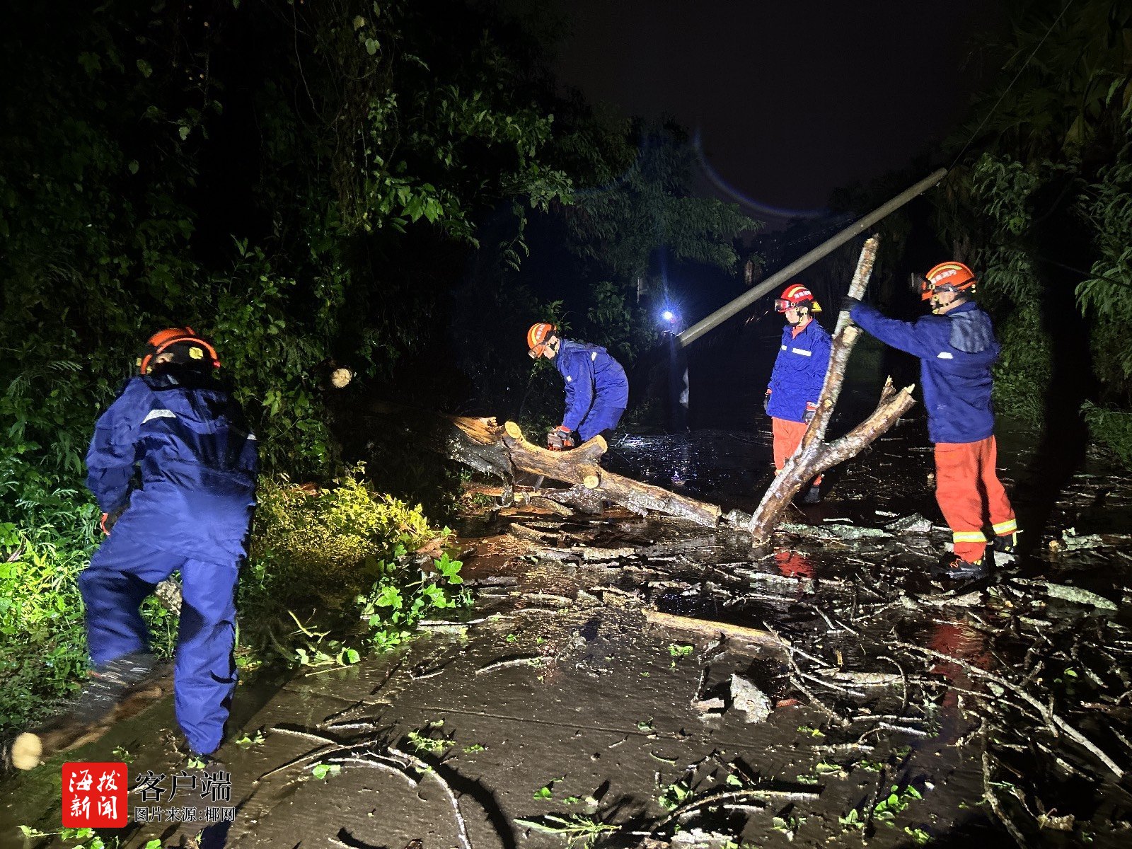 台风“蝴蝶”致多处树木倒伏五指山消防紧急清障保通畅(图4)
