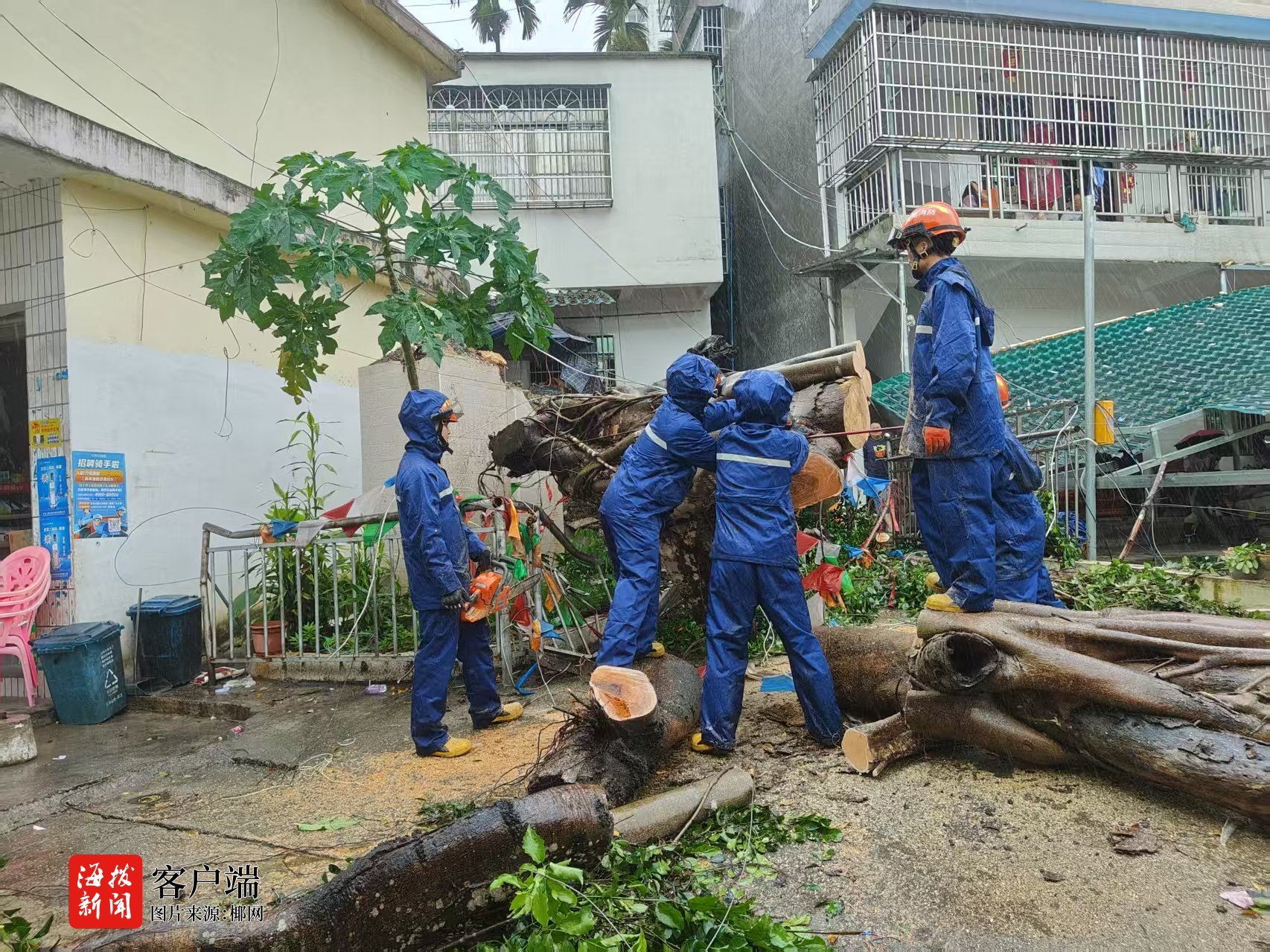 台风“蝴蝶”致多处树木倒伏五指山消防紧急清障保通畅(图6)
