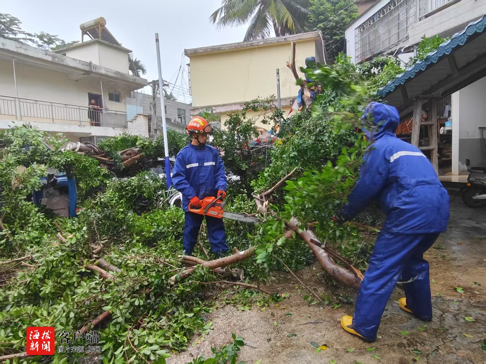 台风“蝴蝶”致多处树木倒伏五指山消防紧急清障保通畅(图7)