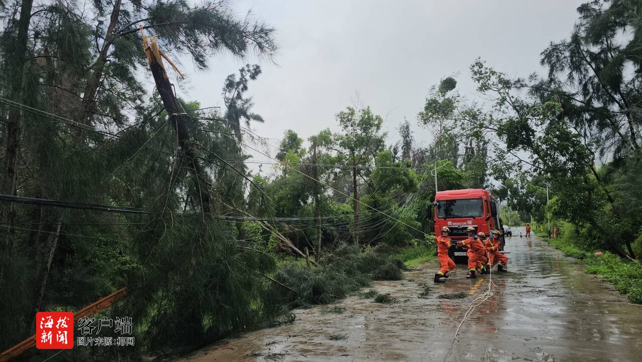台风“蝴蝶”致树木倒伏洋浦消防部门紧急处置(图2)