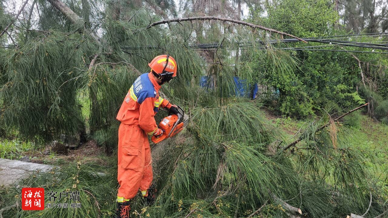 台风“蝴蝶”致树木倒伏洋浦消防部门紧急处置(图3)
