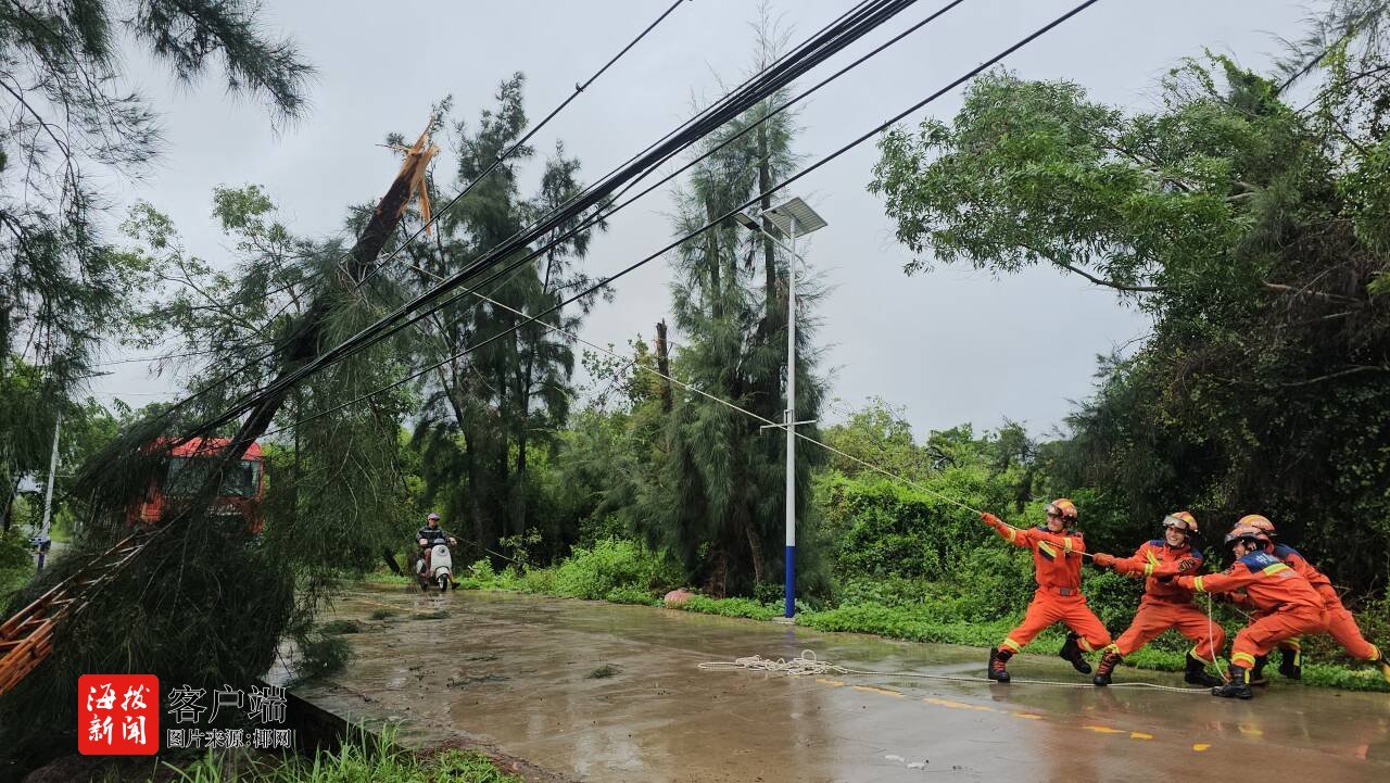 台风“蝴蝶”致树木倒伏洋浦消防部门紧急处