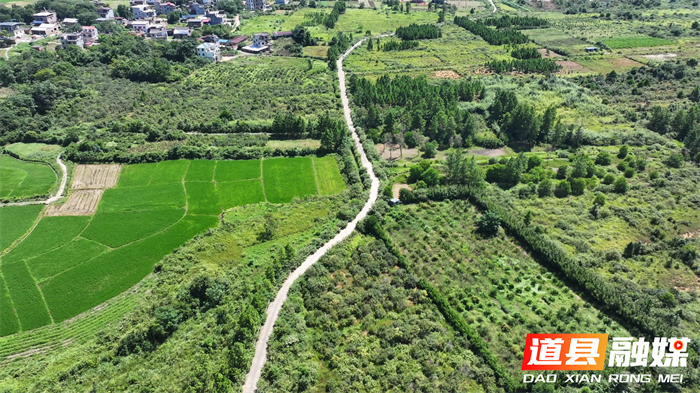 道县：“小护栏”守护“大民生”农村公路安防工程为乡村振兴系上“安全带”(图6)