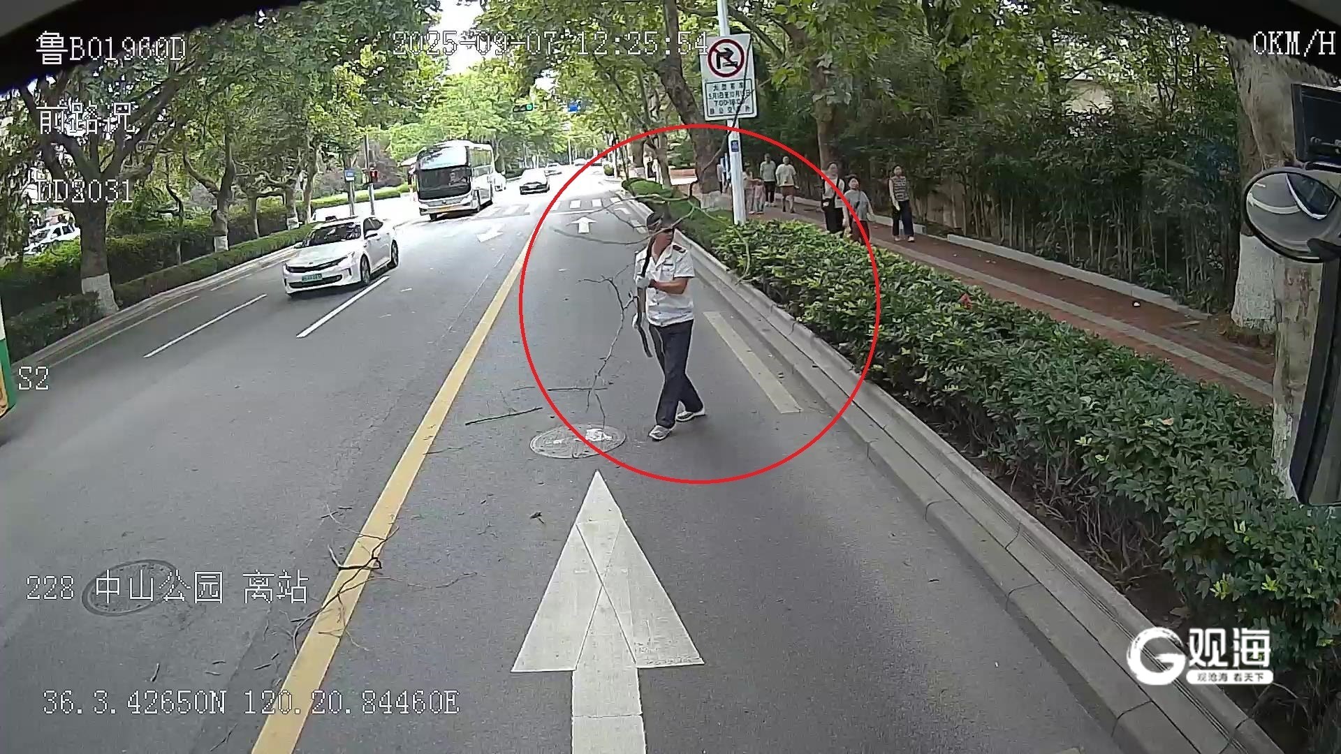 拾“机”不昧、清理路障……青岛巴士车厢里暖心事接二连三(图3)