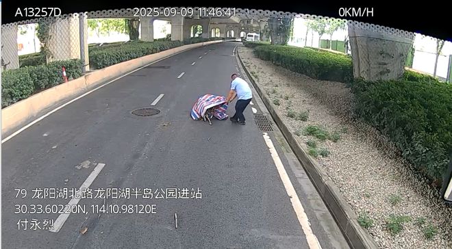 路障突现挡道路79路公交司机付永烈徒手清