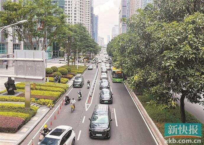 广州已试点设置约60条共享车道记者走访一