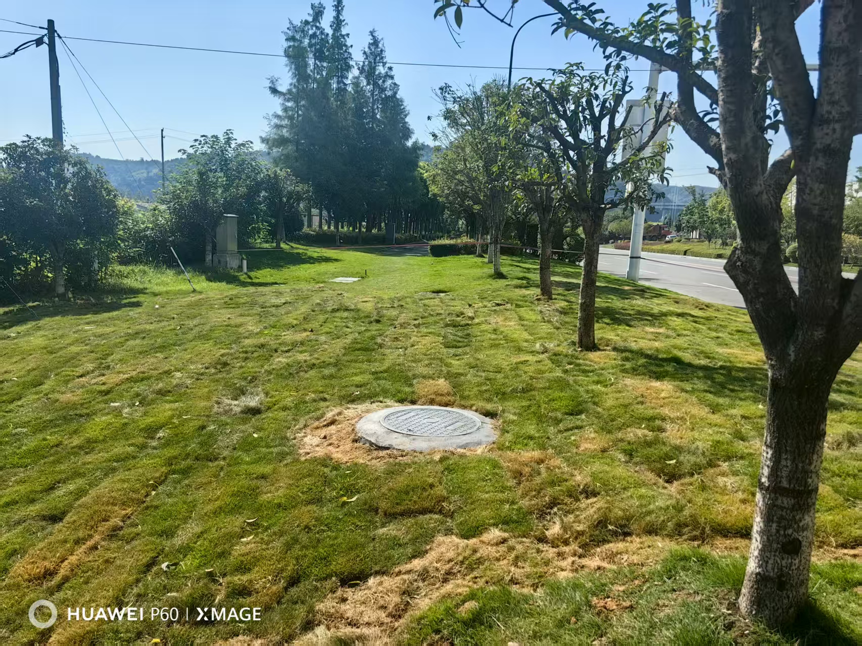 宜昌高新区12345热线:高效响应“民声”守护民生“安全网”(图2)