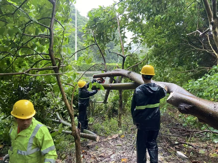 深圳交通系统多措并举应对“桦加沙”(图2)