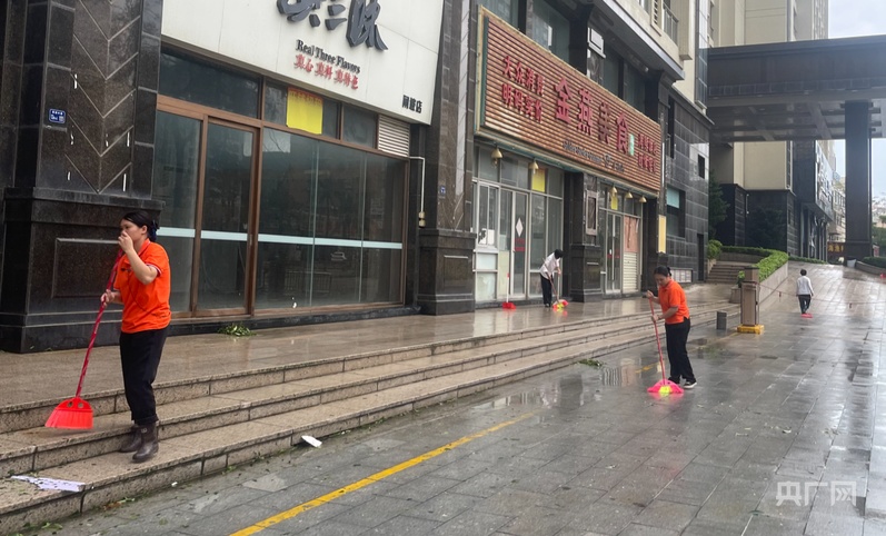 记者实探台风过境后的阳江海陵岛：树木倒伏道路积水(图4)