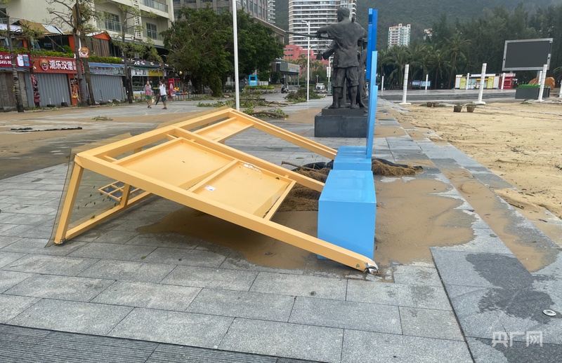 记者实探台风过境后的阳江海陵岛：树木倒伏