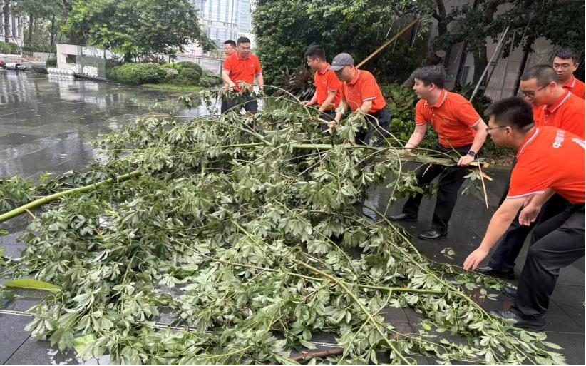 28分钟极速赔付平安产险深圳分公司高效应