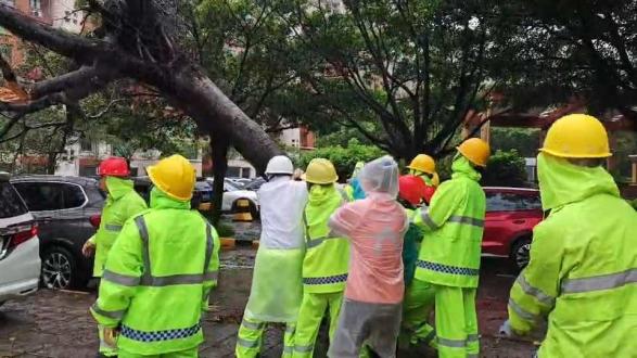 28分钟极速赔付平安产险深圳分公司高效应对台风“桦加沙”(图2)