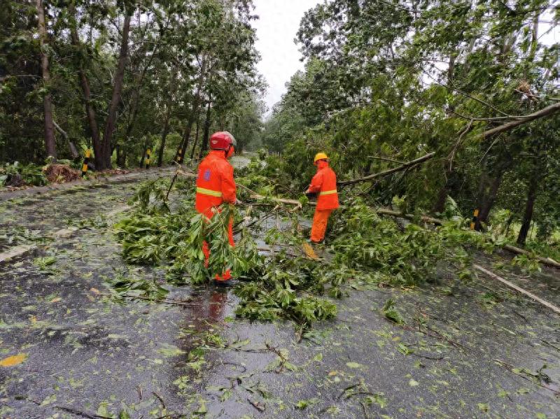 市交通运输局：风雨中的坚守者守护台风“桦