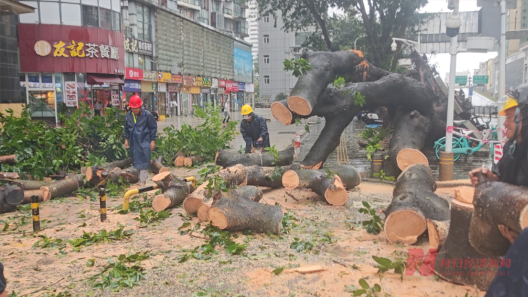 0死亡！“桦加沙”巨风无巨灾“风王”袭击之下的深港澳做对了什么？(图3)