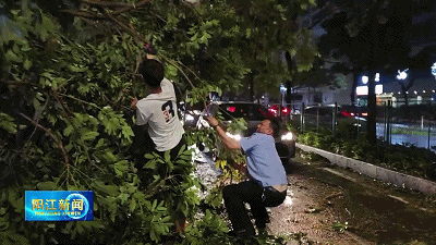 阳江全城寻找的“开路先锋”找到了！回应市