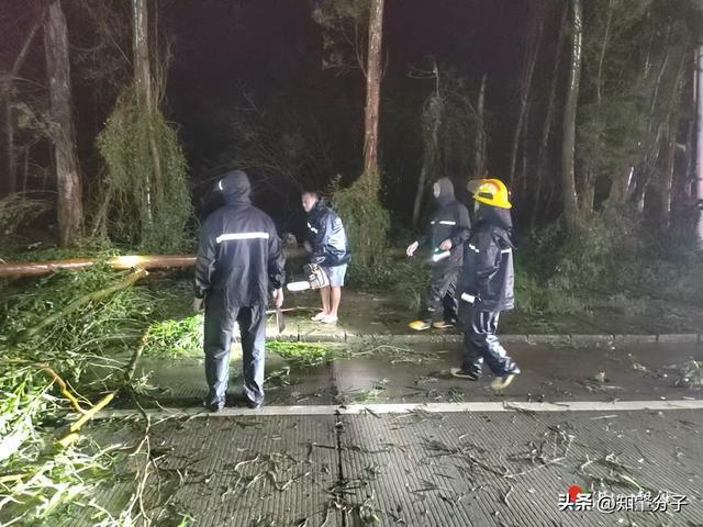 雷州市唐家镇连夜抢险保畅通