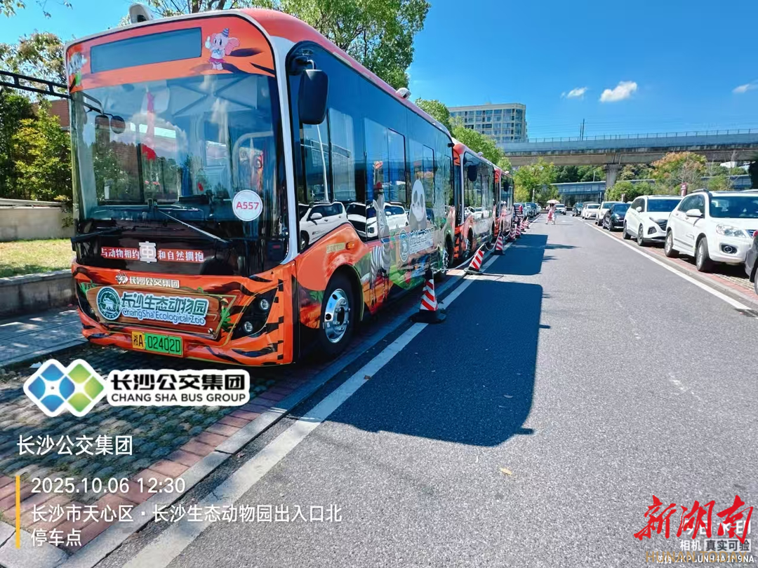 长沙交通全力护航国庆中秋假期出行累计安全运送旅客超3664万人次(图4)