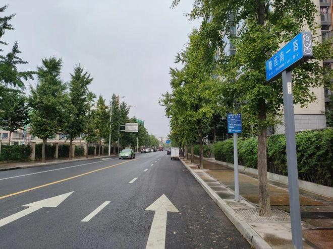 6条道路“焕新升级”！百仁片区居民出行更