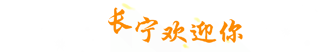 11月5日起长宁区将新增19处智慧道路停车场(图4)