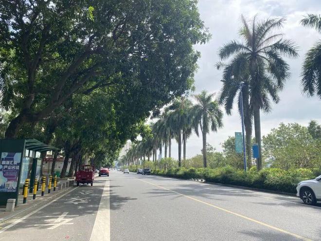 佛山市环两江自行车赛即将举行！这些路段临时交通管制(图4)