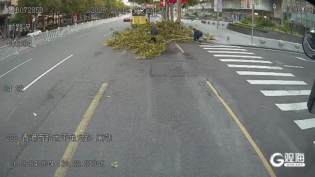 断枝拦路带来安全隐患青岛巴士两名驾驶员果