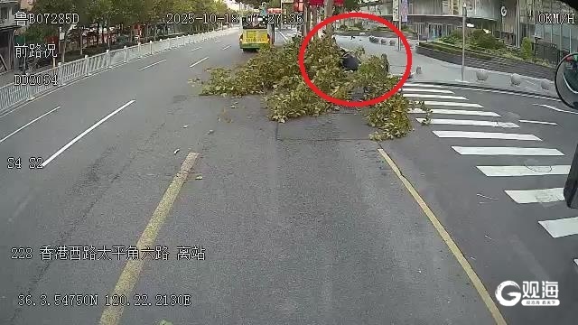 断枝拦路带来安全隐患青岛巴士两名驾驶员果断处置保畅通(图2)