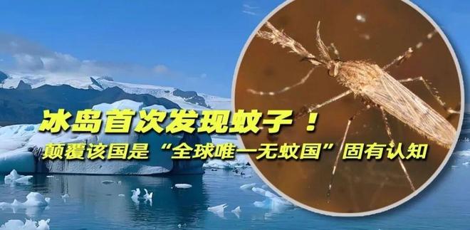 又要降温!时间在→｜提前缴费!事关用电｜盛乐机场通航在即(图5)