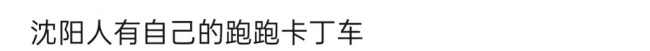 辽宁沈阳一路段出现大量路障网友热议“跑跑卡丁车”路(图5)