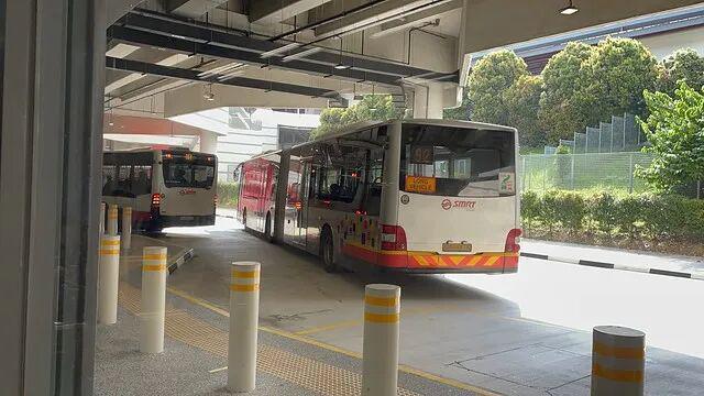 新加坡人去新山步行过关省钱又好玩(图3)