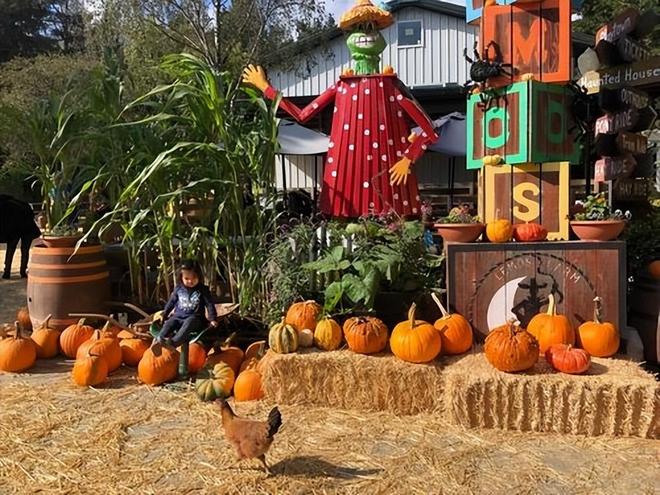 万圣夜数千人进急诊？南瓜雕刻成隐形杀手儿童车祸风险暴增10倍(图7)