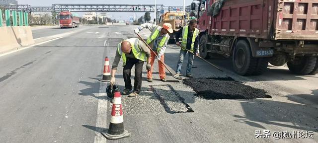 银杏染秋时养护正当时——曾都交通全力备战