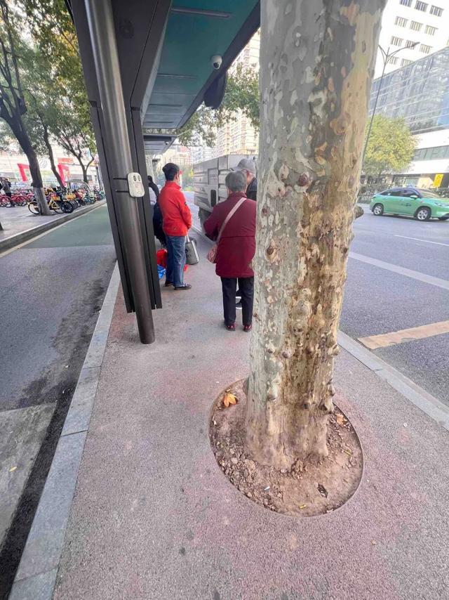 华商报大风新闻记者走访了20处地铁站和公交站：一个小台阶、一个小标识都能拦住老年人脚步(图8)