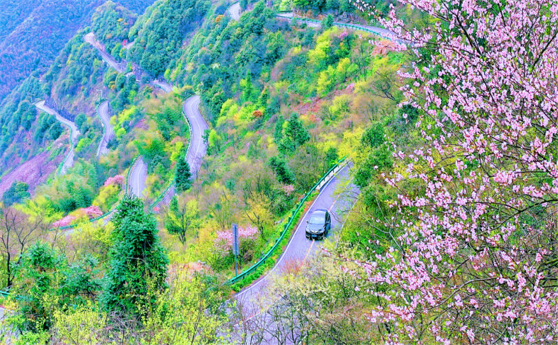 微笑泾县路景生辉泾县交通运输局匠心织就“诗与远方”(图2)