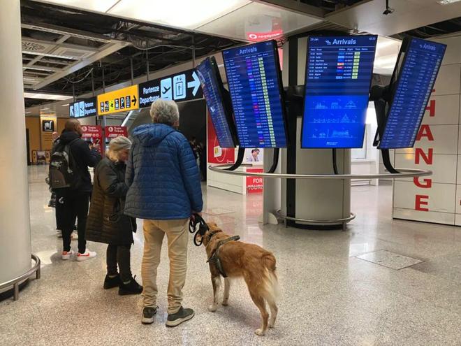 2026年开局不平静全意1月罢工时间表出