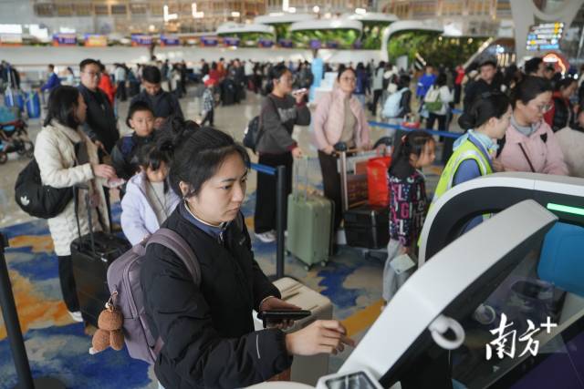 繁忙的春运生动的大湾区(图2)