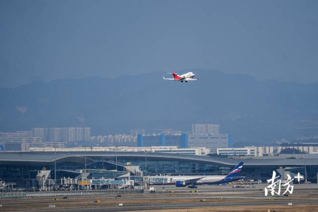 繁忙的春运生动的大湾区(图5)