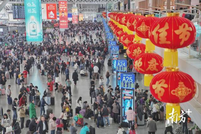 繁忙的春运生动的大湾区(图4)