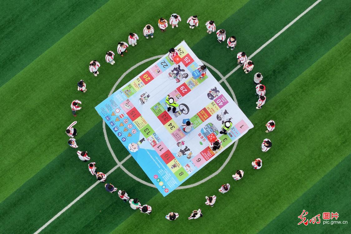 趣味学交规安全伴成长